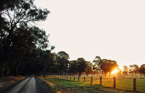 Latrobe - country road with fields and trees