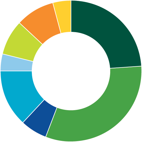 Balanced strategic asset allocation chart