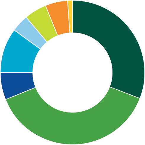 Growth strategic asset allocation chart