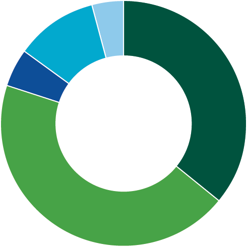 Shares Plus strategic asset allocation chart